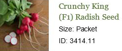 0140_20201223_1159_2021 Seed Order - Crunchy King Radish.jpg